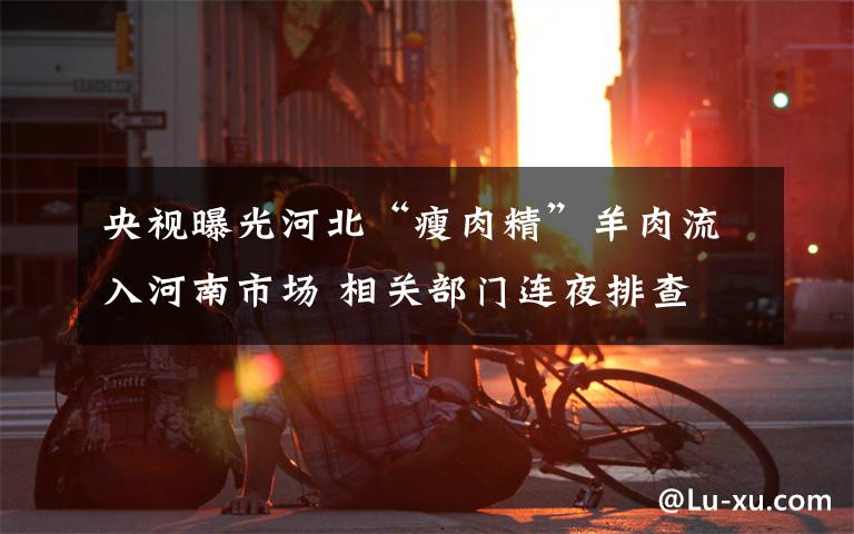 央视曝光河北“瘦肉精”羊肉流入河南市场 相关部门连夜排查 具体是什么情况?