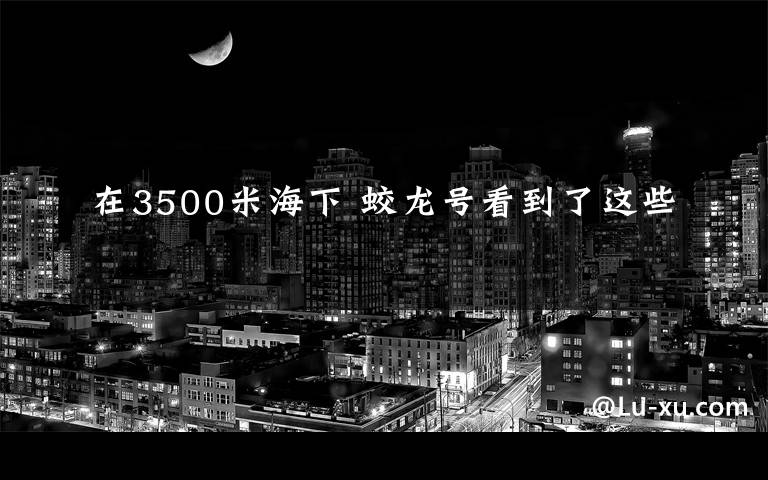 在3500米海下 蛟龙号看到了这些