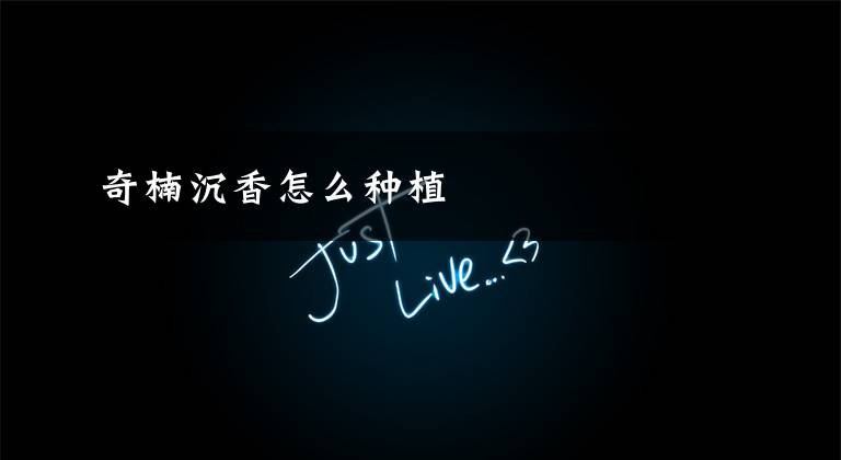 奇楠沉香怎么种植