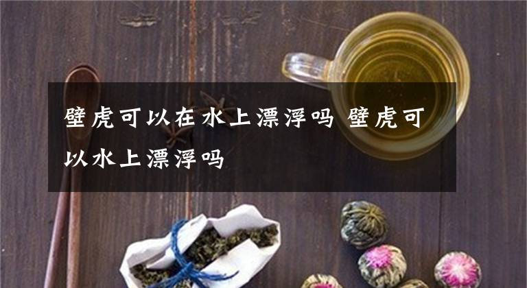 壁虎可以在水上漂浮吗 壁虎可以水上漂浮吗