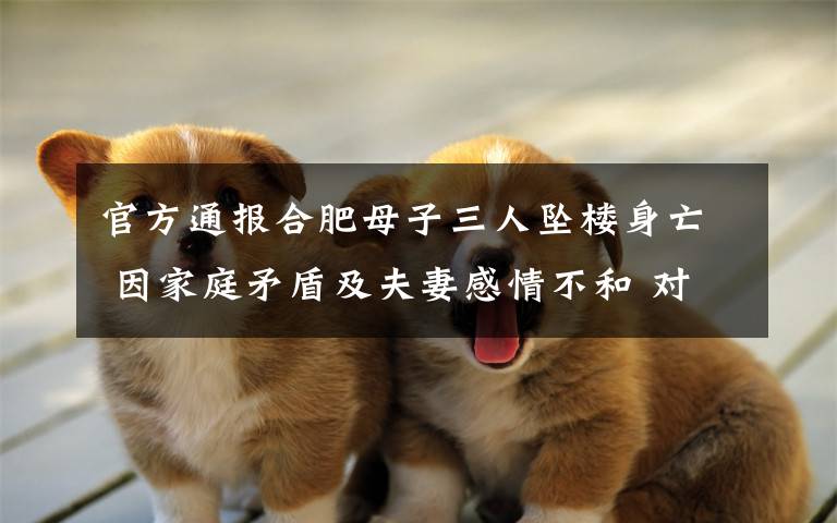 官方通报合肥母子三人坠楼身亡 因家庭矛盾及夫妻感情不和 对此大家怎么看?