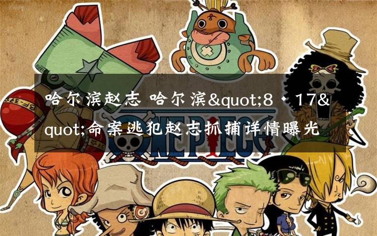 哈尔滨赵志 哈尔滨"8·17"命案逃犯赵志抓捕详情曝光