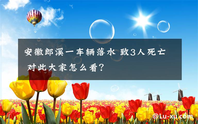 安徽郎溪一车辆落水 致3人死亡 对此大家怎么看?