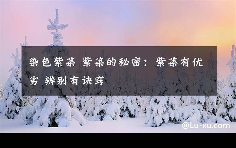 染色紫菜 紫菜的秘密:紫菜有优劣 辨别有诀窍