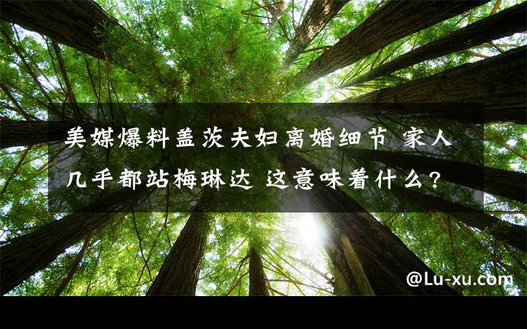 美媒爆料盖茨夫妇离婚细节 家人几乎都站梅琳达 这意味着什么?