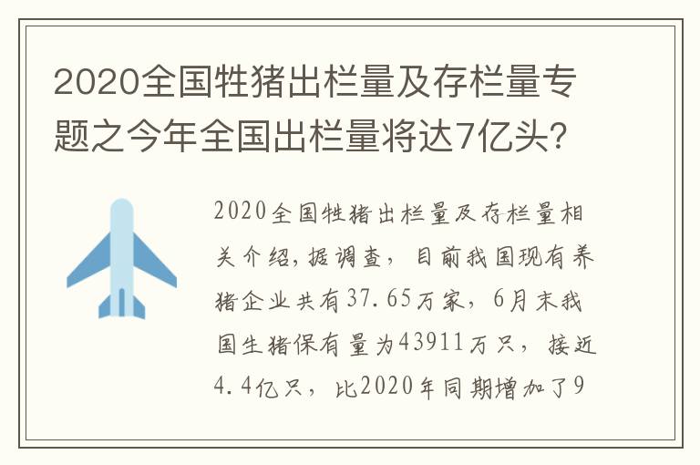 2020全国牲猪出栏量及存栏量专题之今年全国出栏量将达7亿头?千万头级别猪企或超4家,如何避免猪价大起大落