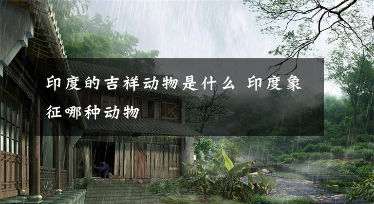 印度的吉祥动物是什么 印度象征哪种动物