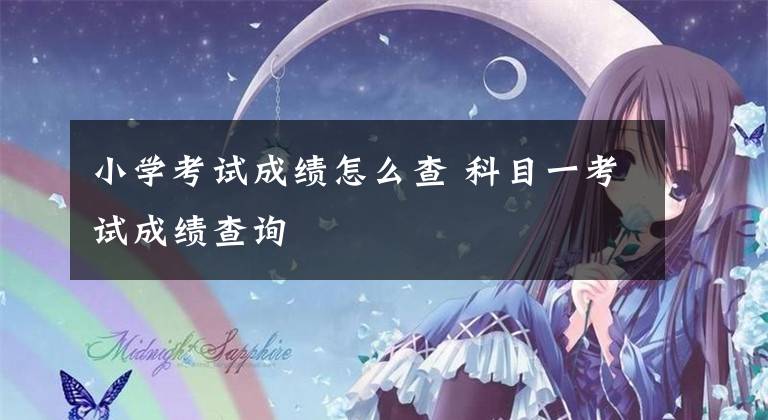 小学考试成绩怎么查 科目一考试成绩查询