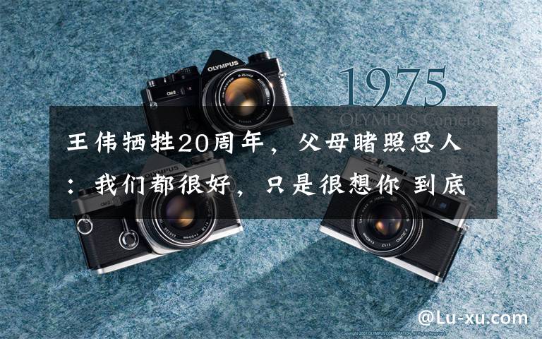 王伟牺牲20周年,父母睹照思人:我们都很好,只是很想你 到底什么情况呢?