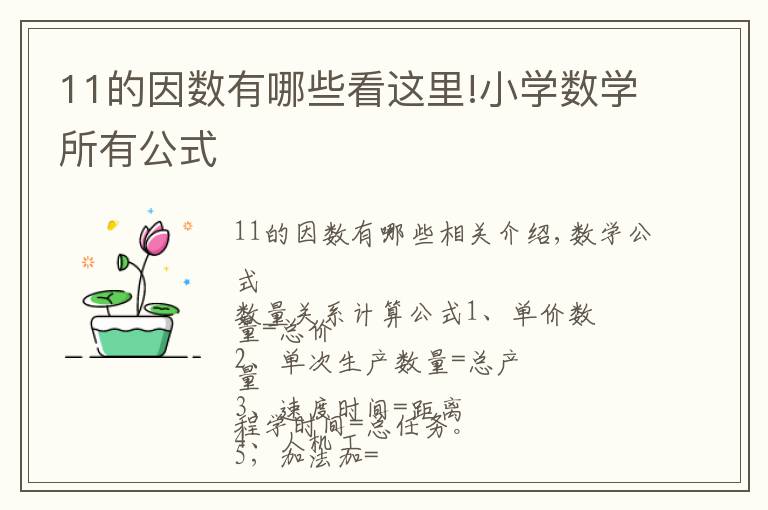 11的因数有哪些看这里!小学数学所有公式