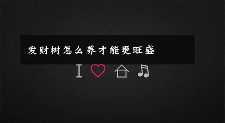 发财树怎么养才能更旺盛