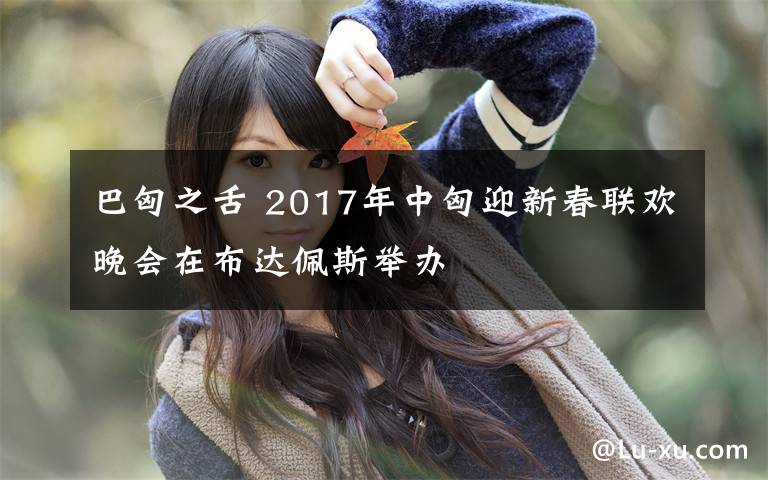 巴匈之舌 2017年中匈迎新春联欢晚会在布达佩斯举办