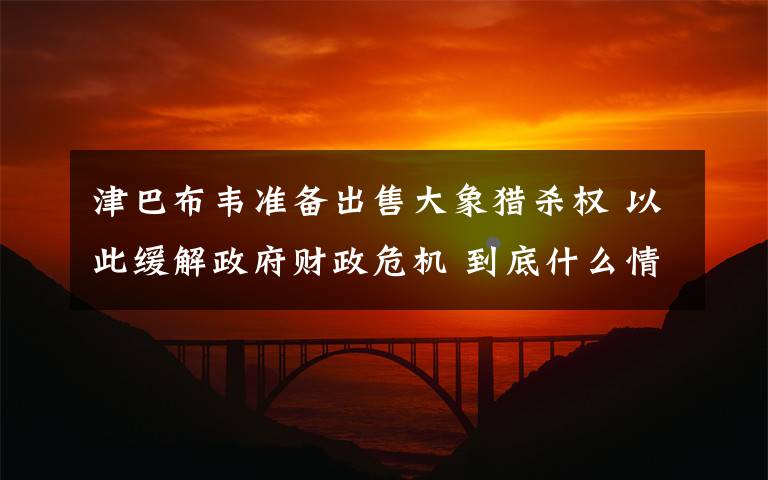 津巴布韦准备出售大象猎杀权 以此缓解政府财政危机 到底什么情况呢?