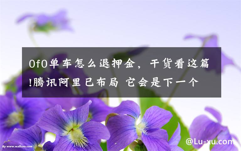 0f0单车怎么退押金,干货看这篇!腾讯阿里已布局 它会是下一个三江购物?