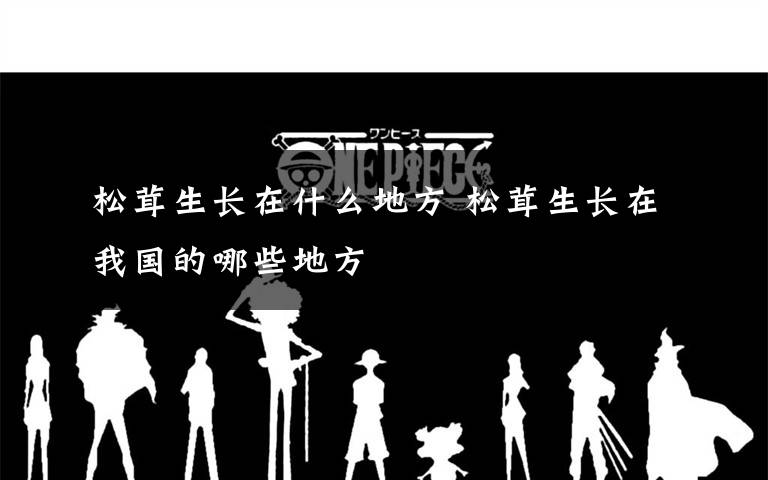 松茸生长在什么地方 松茸生长在我国的哪些地方