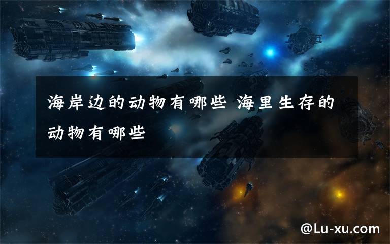 海岸边的动物有哪些 海里生存的动物有哪些