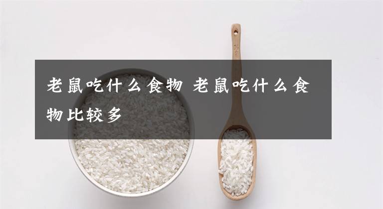 老鼠吃什么食物 老鼠吃什么食物比较多