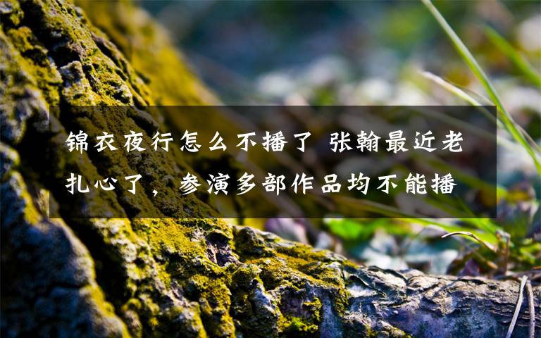 锦衣夜行怎么不播了 张翰最近老扎心了,参演多部作品均不能播出