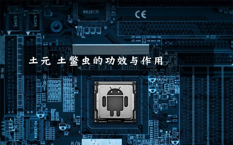 土元 土鳖虫的功效与作用