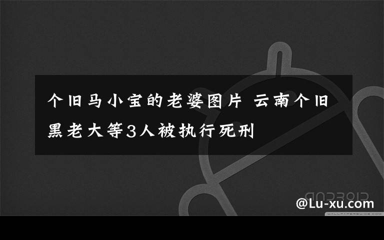 个旧马小宝的老婆图片 云南个旧黑老大等3人被执行死刑