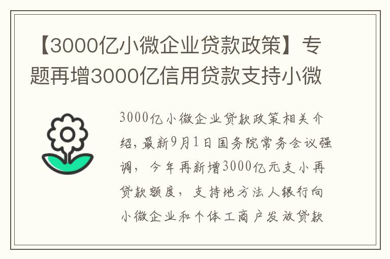 【3000亿小微企业贷款政策】专题再增3000亿信用贷款支持小微企业,政策来了您准备好了吗