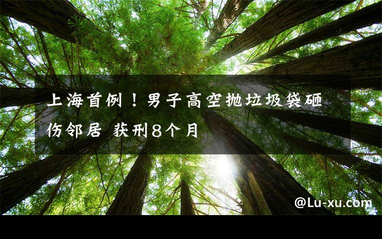 上海首例!男子高空抛垃圾袋砸伤邻居 获刑8个月