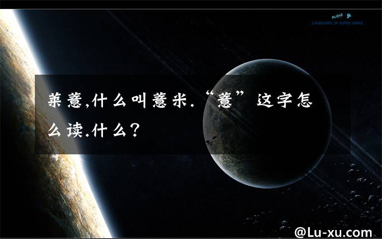 莱薏,什么叫薏米.“薏”这字怎么读.什么?