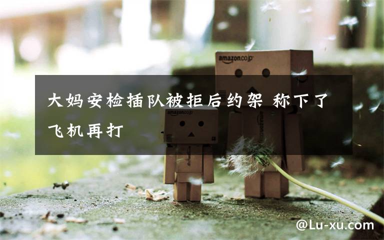 大妈安检插队被拒后约架 称下了飞机再打