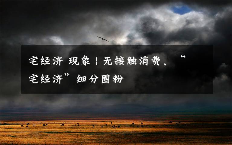 宅经济 现象 | 无接触消费,“宅经济”细分圈粉