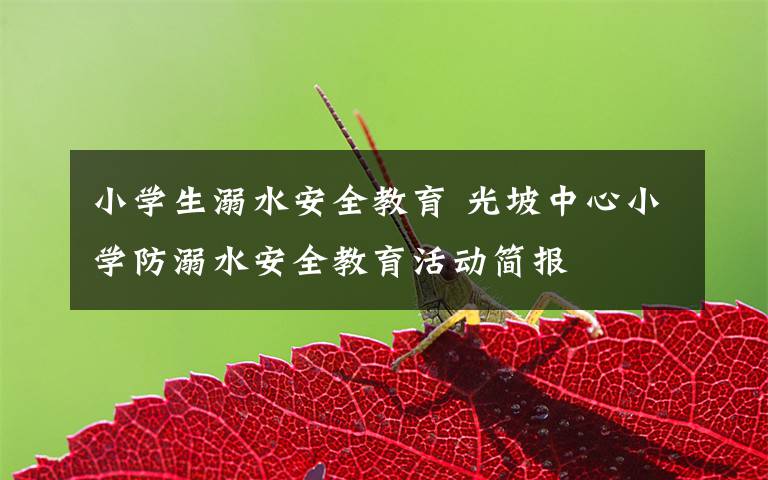 小学生溺水安全教育 光坡中心小学防溺水安全教育活动简报