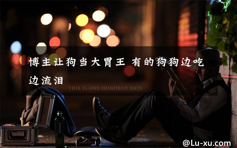 博主让狗当大胃王 有的狗狗边吃边流泪