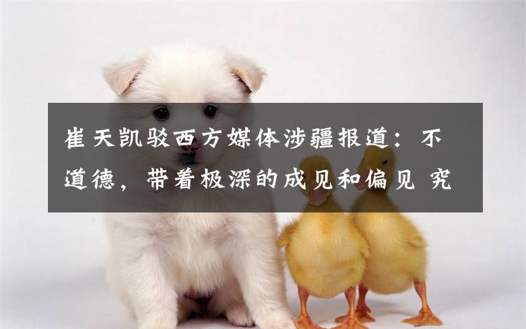 崔天凯驳西方媒体涉疆报道：不道德，带着极深的成见和偏见 究竟是怎么一回事?