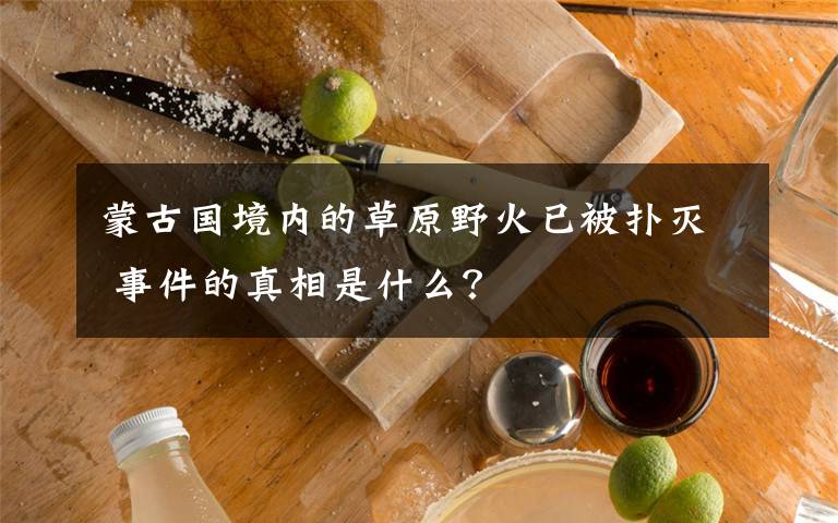 蒙古国境内的草原野火已被扑灭 事件的真相是什么？