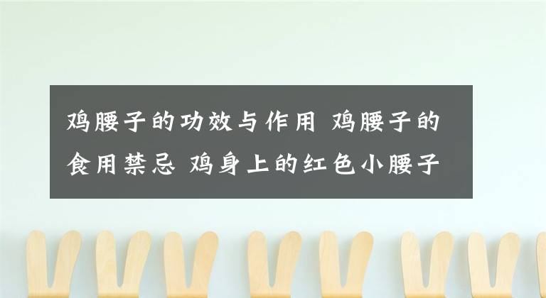 鸡腰子的功效与作用 鸡腰子的食用禁忌 鸡身上的红色小腰子