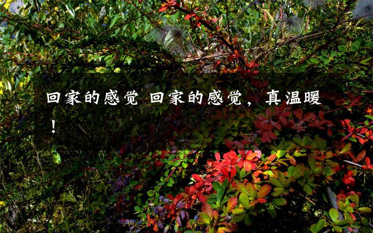 回家的感觉 回家的感觉,真温暖!
