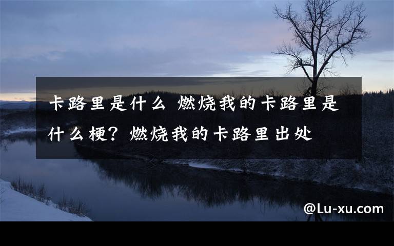 卡路里是什么 燃烧我的卡路里是什么梗？燃烧我的卡路里出处