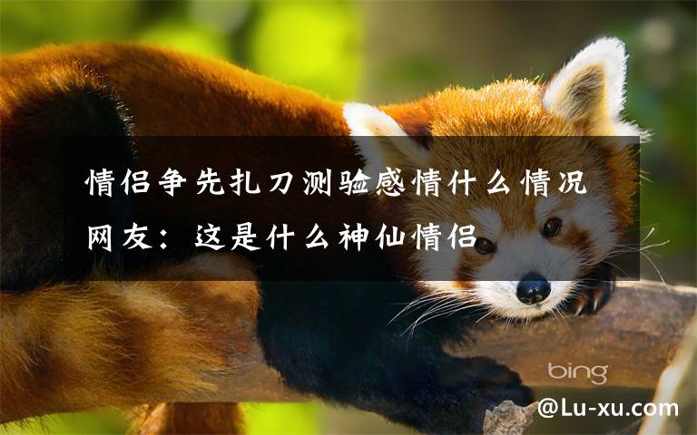 情侣争先扎刀测验感情什么情况网友：这是什么神仙情侣