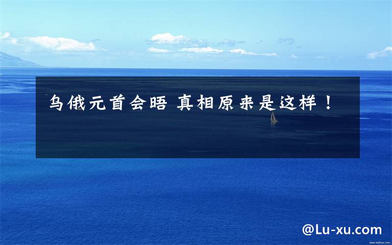 乌俄元首会晤 真相原来是这样!