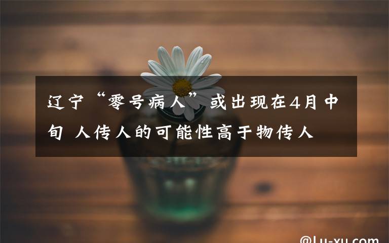 辽宁“零号病人”或出现在4月中旬 人传人的可能性高于物传人 登上网络热搜了!