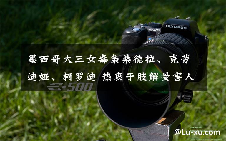 墨西哥大三女毒枭桑德拉、克劳迪娅、柯罗迪 热衷于肢解受害人