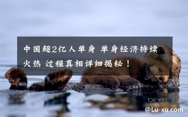 中国超2亿人单身 单身经济持续火热 过程真相详细揭秘！