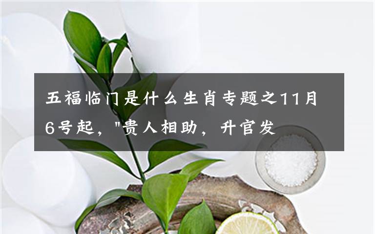 五福临门是什么生肖专题之11月6号起,"贵人相助,升官发财",五福临门的三大生肖,还有谁