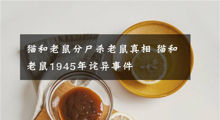 猫和老鼠分尸杀老鼠真相 猫和老鼠1945年诧异事件