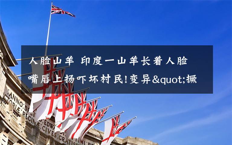 人脸山羊 印度一山羊长着人脸 嘴唇上扬吓坏村民!变异"撅嘴羊"模样惊悚