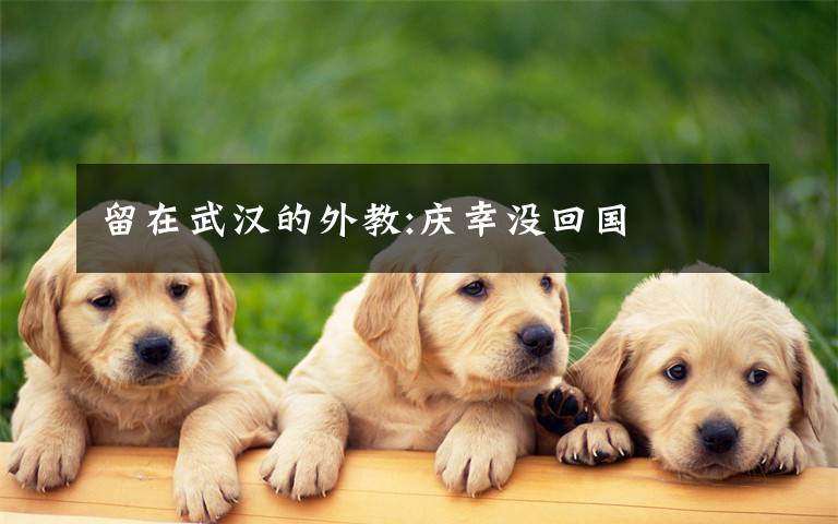 留在武汉的外教:庆幸没回国