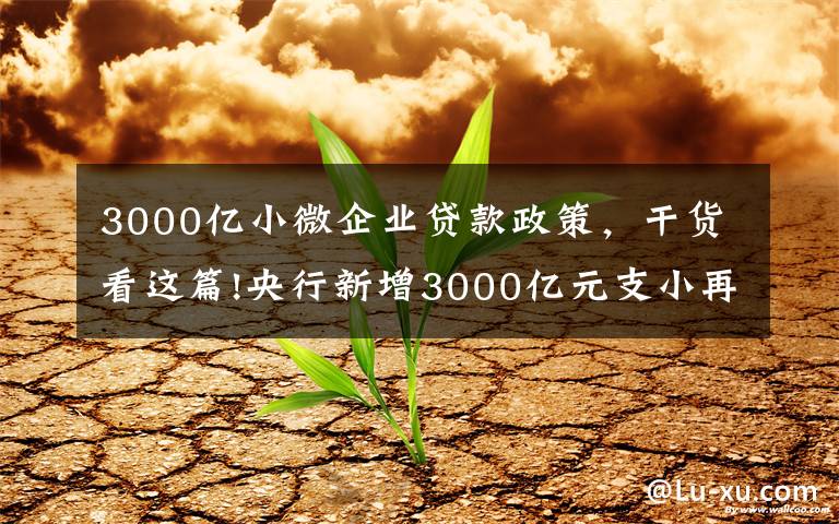 3000亿小微企业贷款政策,干货看这篇!央行新增3000亿元支小再贷款额度 加大对中小微企业纾困帮扶力度