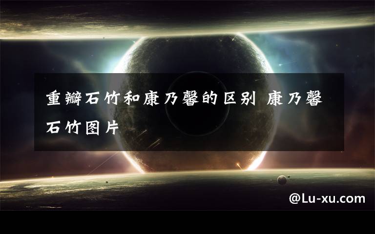 重瓣石竹和康乃馨的区别 康乃馨石竹图片