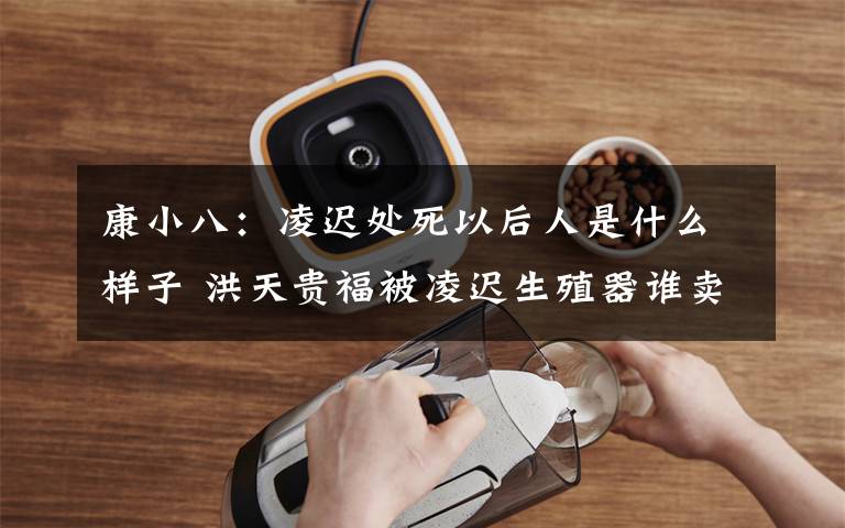 康小八:凌迟处死以后人是什么样子 洪天贵福被凌迟生殖器谁卖了