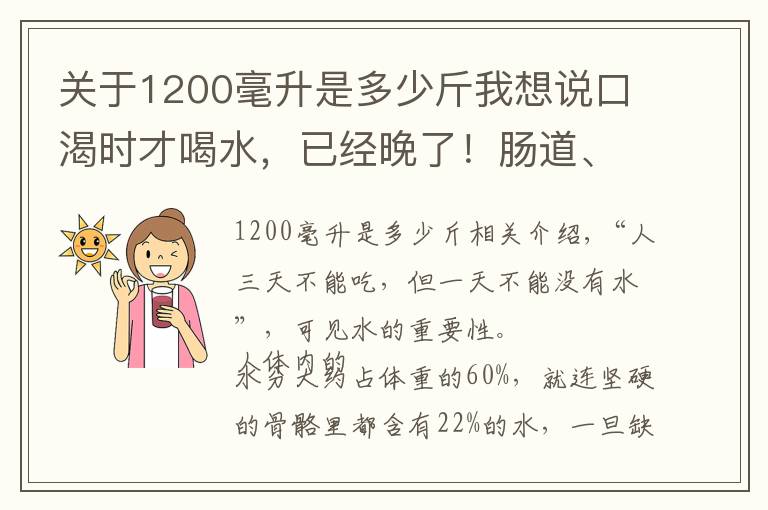 关于1200毫升是多少斤我想说口渴时才喝水,已经晚了!肠道、肾脏,甚至大脑都受伤!正确喝水指南请查收
