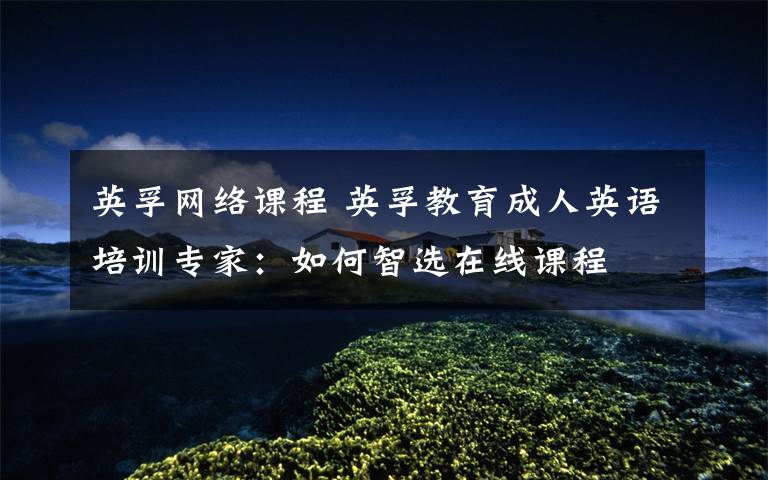 英孚网络课程 英孚教育成人英语培训专家:如何智选在线课程